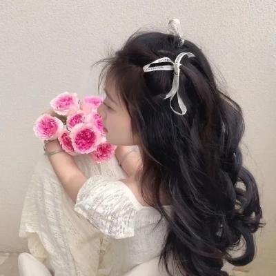 明星老婆的贴身保镖